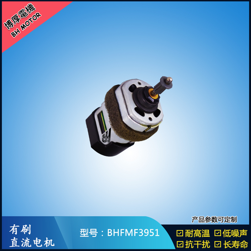 BHFMF3951交流有刷電機(jī)100V 電動(dòng)滑板車(chē)電機(jī)